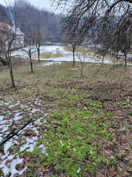Teren de 3350 mp, în Sâmbotin