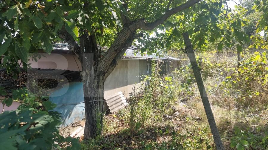 Casă individuală cu 4 camere cu Teren 2982 Mp în Costuleni