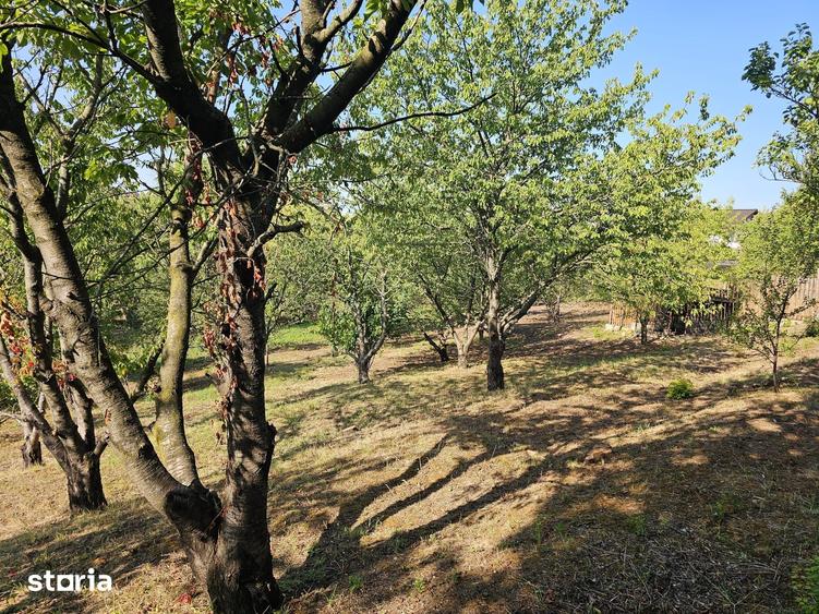 Casă cu 4 camere cu Teren 3000 Mp în Nicolina