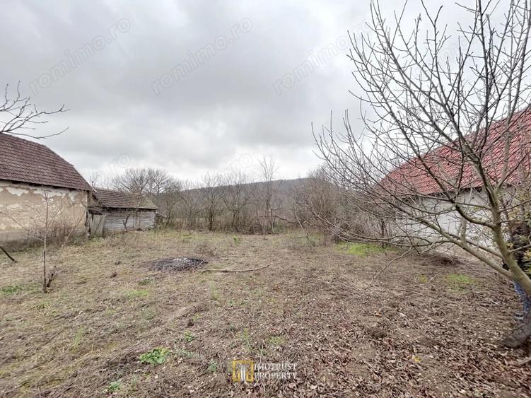 Teren de 3252 mp, în Tauț