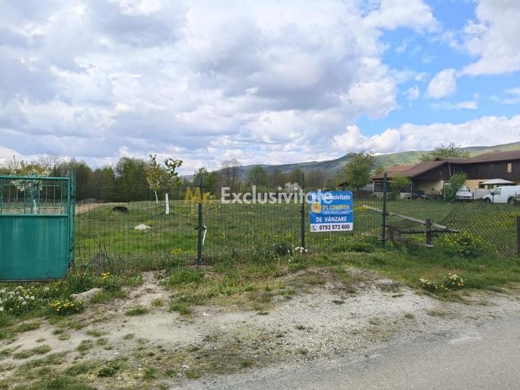 Teren Construcții intravilan de 19209 mp, în Crasna