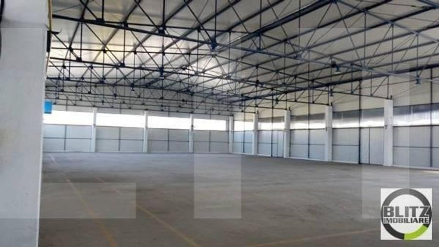 Spațiu industrial, de 1,088 mp, în Someșeni