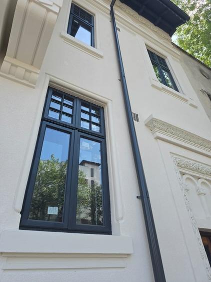 Casă cu 13 camere cu Teren 328 Mp în Ferdinand