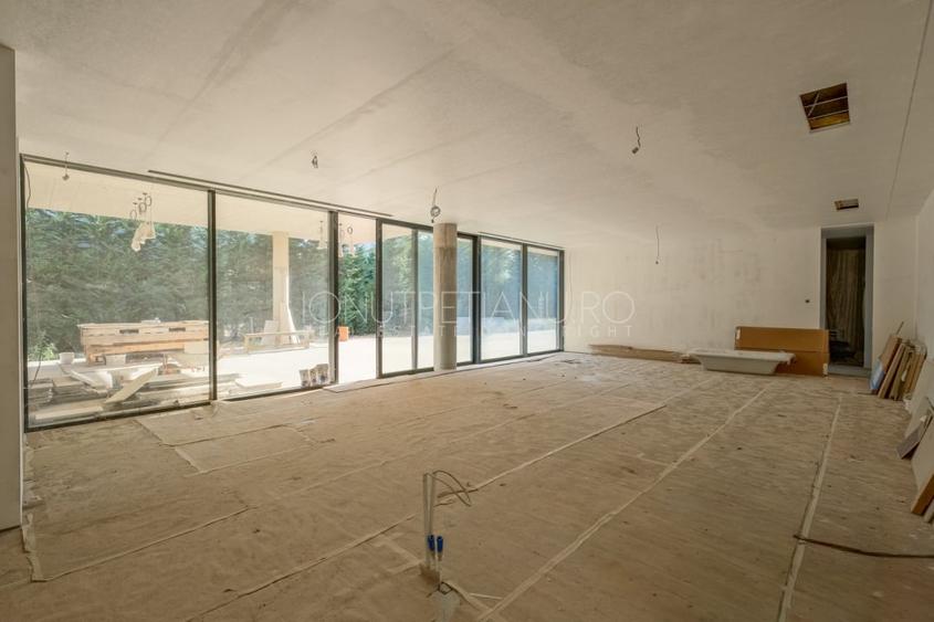 Casă individuală cu 7 camere cu Piscina în Iancu Nicolae
