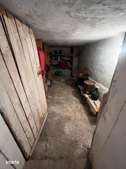 Casă cu 4 camere cu Teren 2700 Mp în Dumitrița