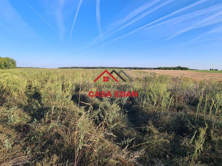 Teren agricol extravilan de 5000 mp, în Urleta