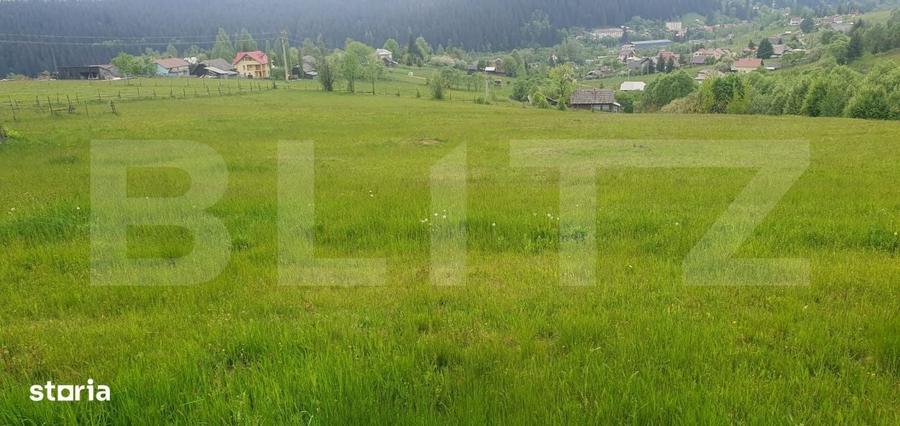 Spațiu comercial, în Argestru