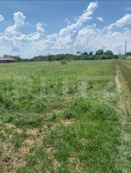 Teren agricol extravilan de 4000 mp, în Careiului