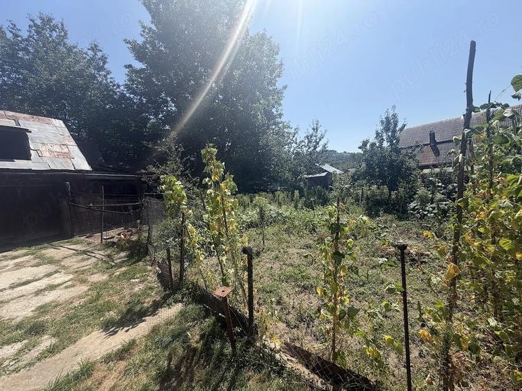 Casă cu Teren 7000 Mp în Central