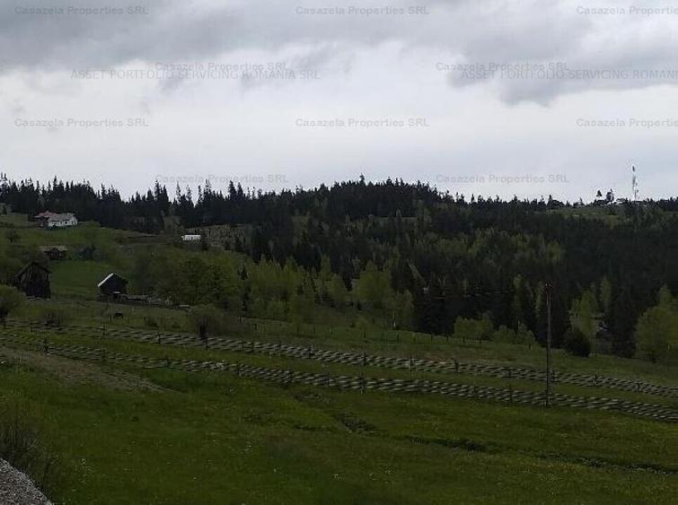 Teren 14.485 m.p. - Iacobeni, Suceava - 1