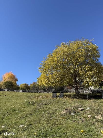 Teren de 3230 mp, în Băișoara