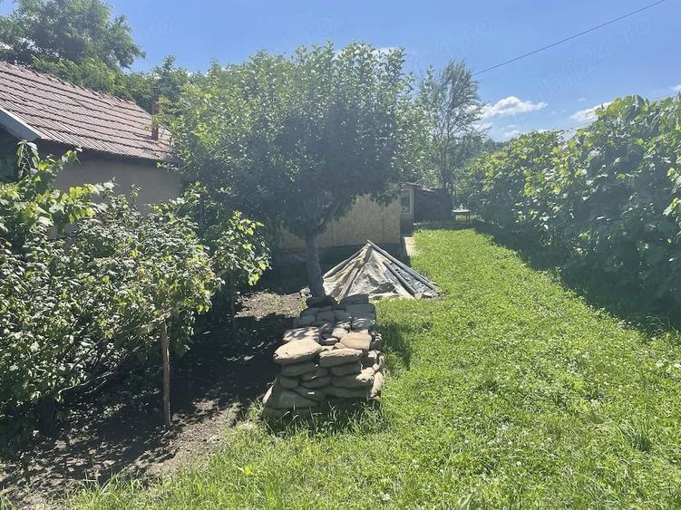 Teren de 850 mp, în Homorâciu