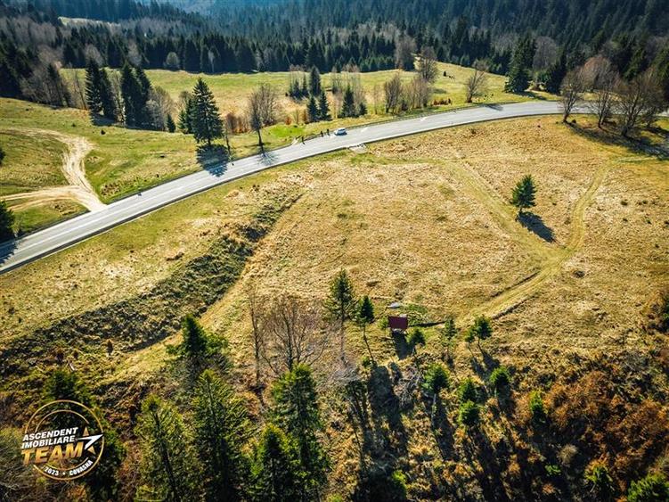 Teren Construcții intravilan de 5800 mp, în Ojdula