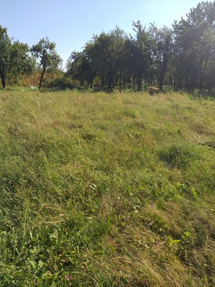 Casă cu 4 camere în Polovragi