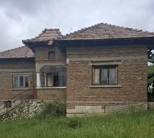 Casă cu Teren 4226 Mp în Băbana