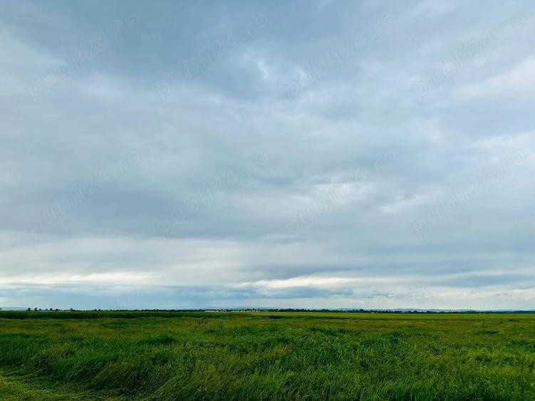 Teren de 11300 mp, în Balta Doamnei