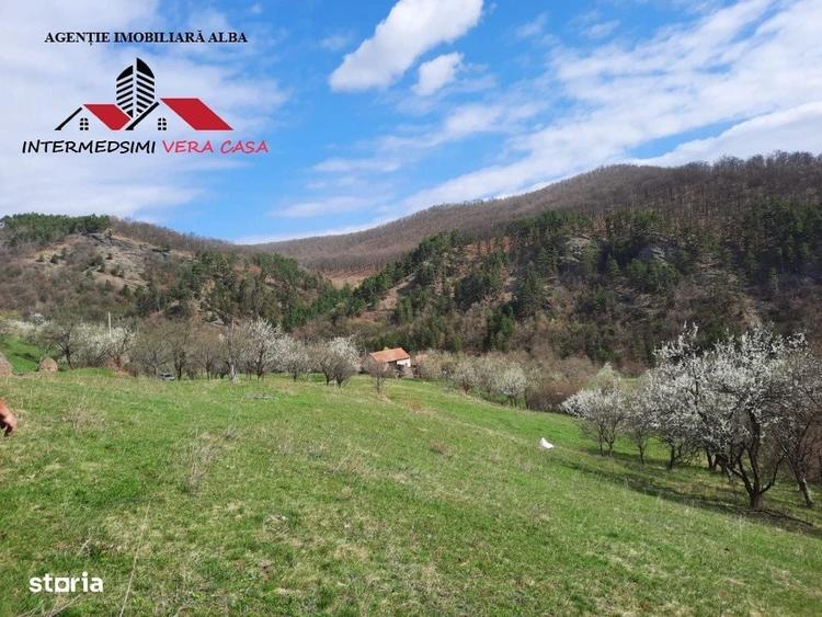 Spațiu comercial, în Valea Vințului
