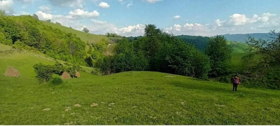 Spațiu comercial, în Central