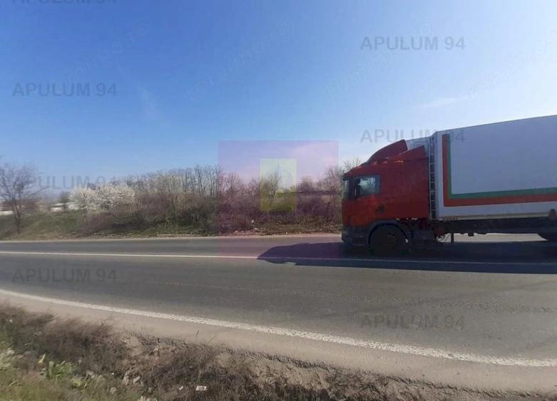Teren de 4800 mp, în Glina