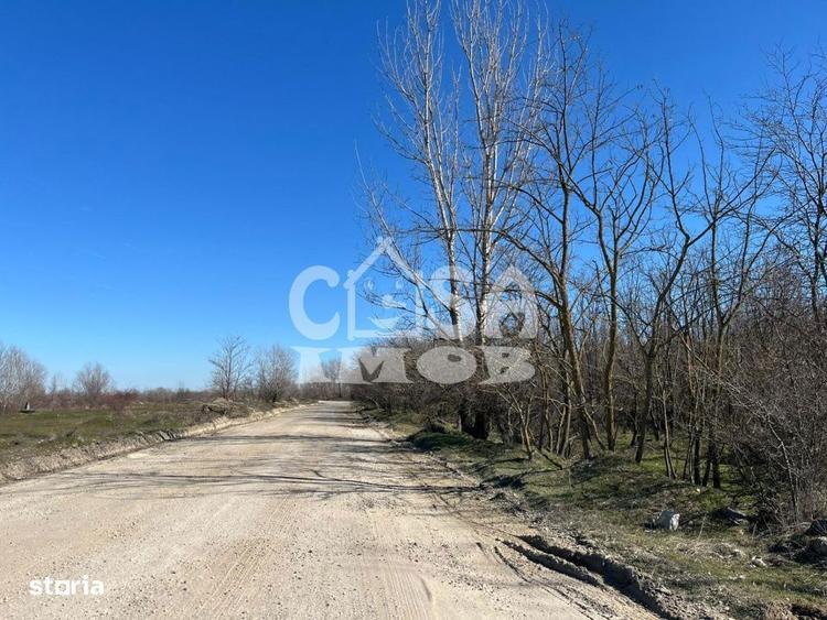 Teren extravilan padure - 6.000 mp, vizavi de Insula Crapilor, Ionest - 6
