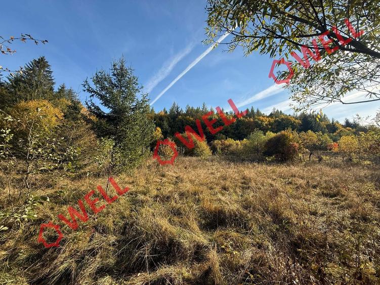 Teren intravilan de 2500 mp, în Periferie