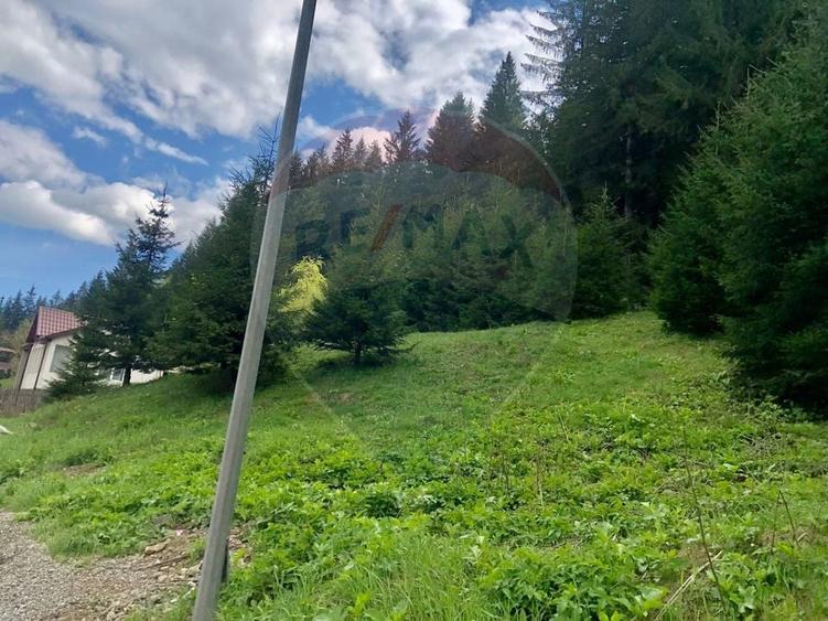 Teren Construcții intravilan de 1105 mp, în Malul Ursului