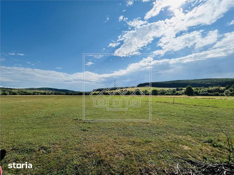 Teren intravilan, 5861 mp - Tocile - 6