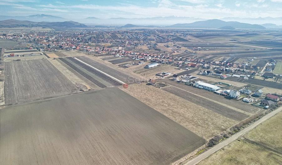 Teren Construcții extravilan de 14200 mp, în Bod
