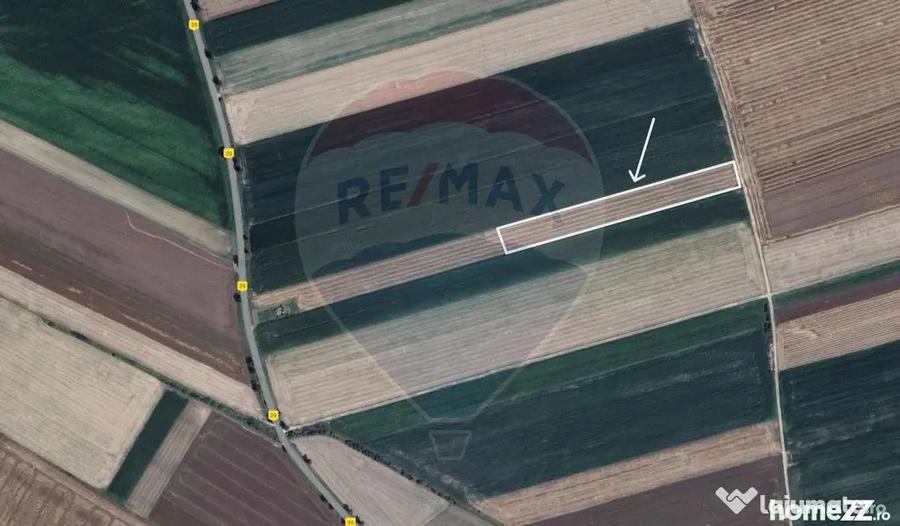 Teren de 9750 mp, în Hălchiu