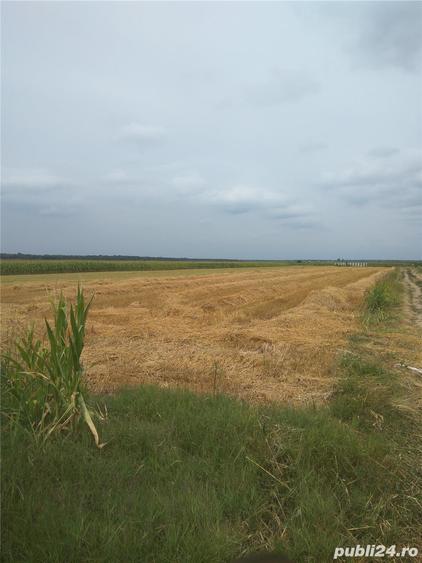 Teren de 3600 mp, în Moara Vlăsiei
