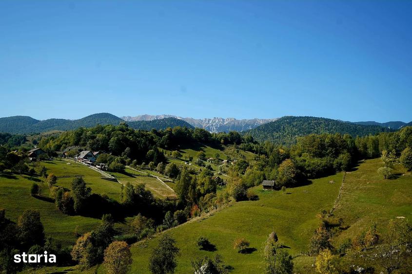 Teren de 2969 mp, în Moieciu