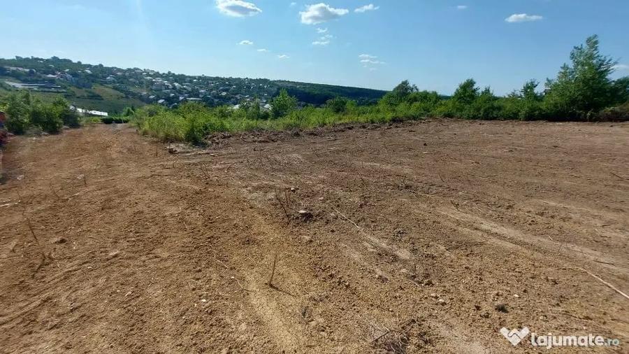 Teren de 1200 mp, în Bucium