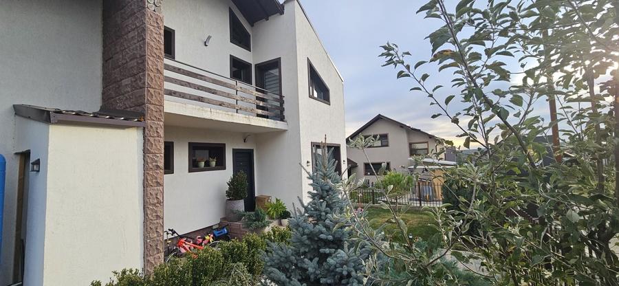Vila de vanzare in cartier Dealul cu Tei - 3