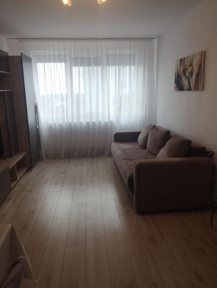 Apartament 2 camere Burdea - 1