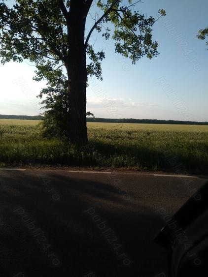 Teren de 8900 mp, în Gagu