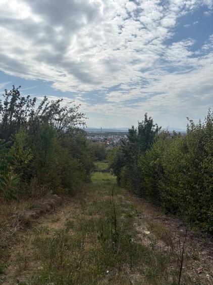 Teren Construcții intravilan de 1000 mp, în Săsar