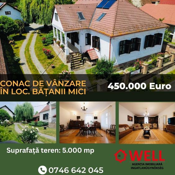 Casă cu 6 camere cu Teren 5000 Mp în Bățanii Mici