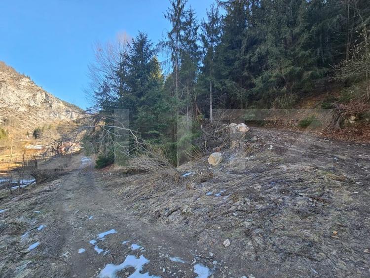 Teren Construcții intravilan de 2977 mp, în Scărișoara