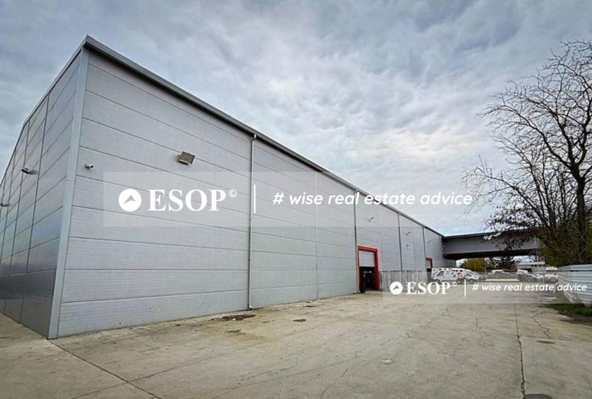 Spațiu industrial, de 2,450 mp, în Mogoșoaia