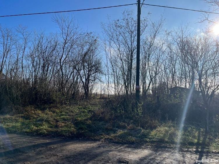 Teren de 3275 mp, în Petrovaselo
