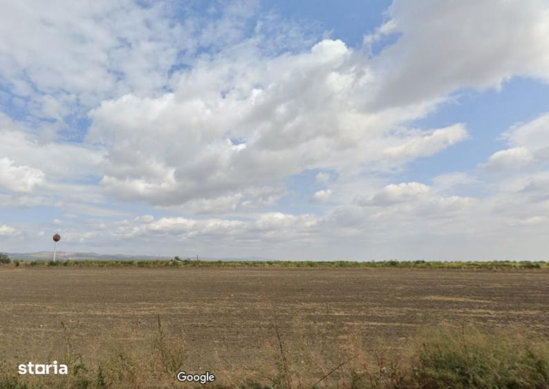 Teren de 36000 mp, în Albești-Paleologu