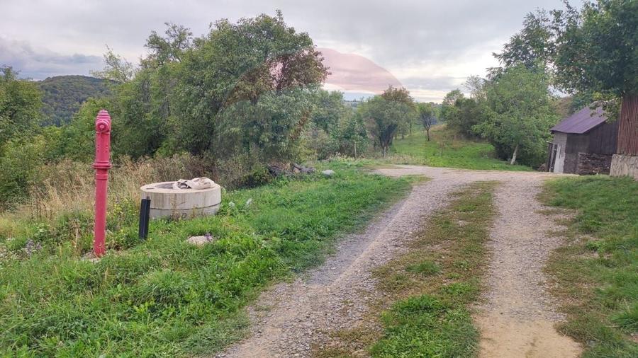 Teren Construcții intravilan de 3082 mp, în Damiș