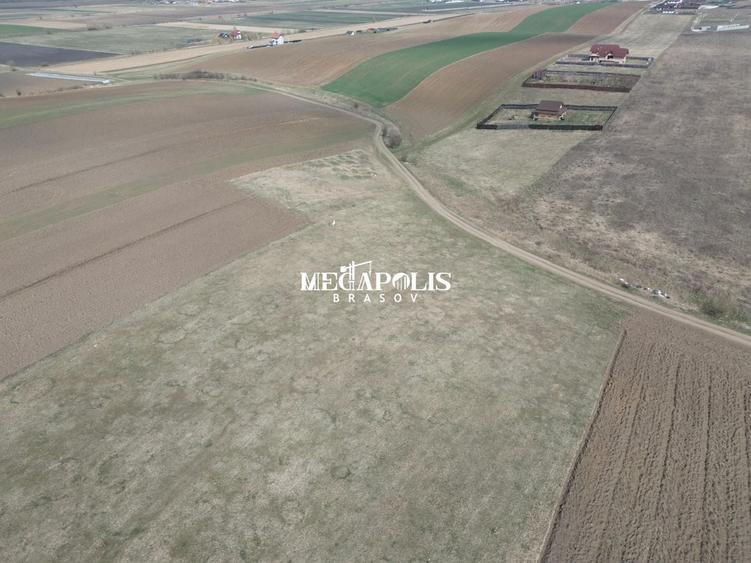 Teren Construcții intravilan de 1200 mp, în Bod
