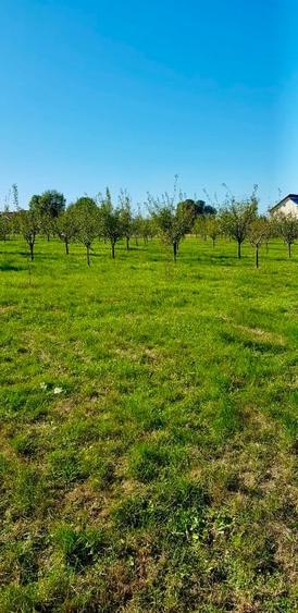 Casă individuală cu 3 camere cu Teren 6000 Mp în Gliganu de Sus