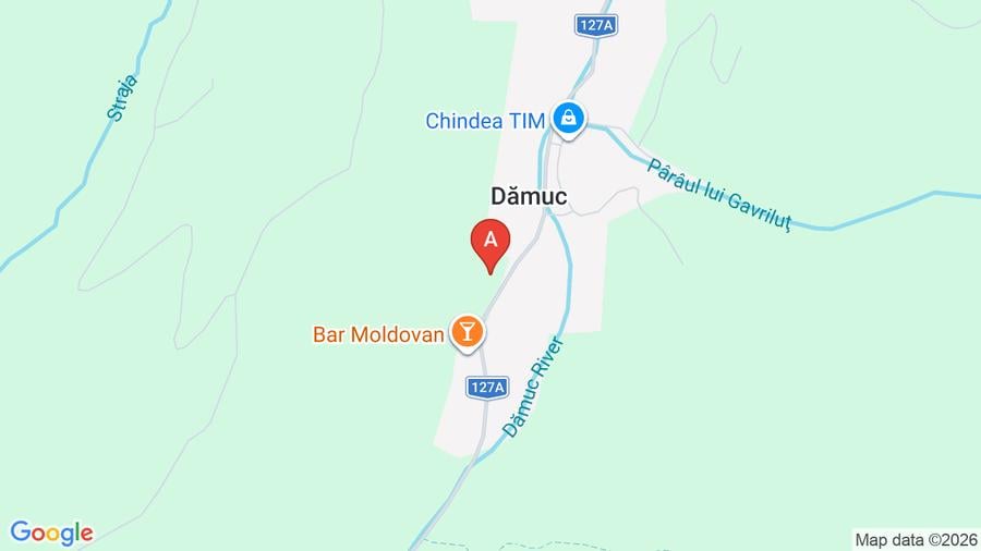 Teren Construcții intravilan de 5800 mp, în Dămuc