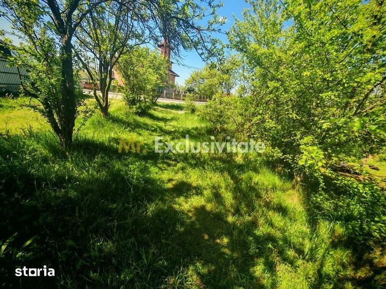 Teren intravilan 2.000 mp in Mioveni Ideal pentru casa sau investiti - 5