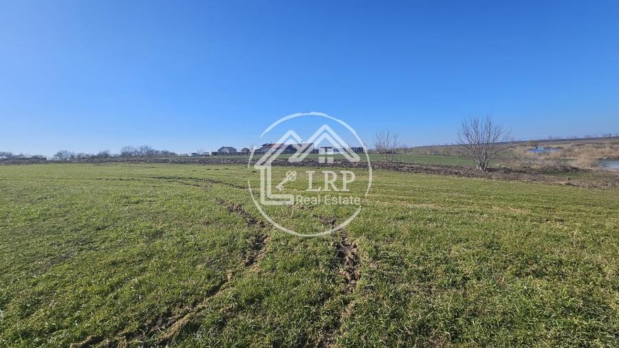 Teren Construcții intravilan de 646 mp, în Dascălu
