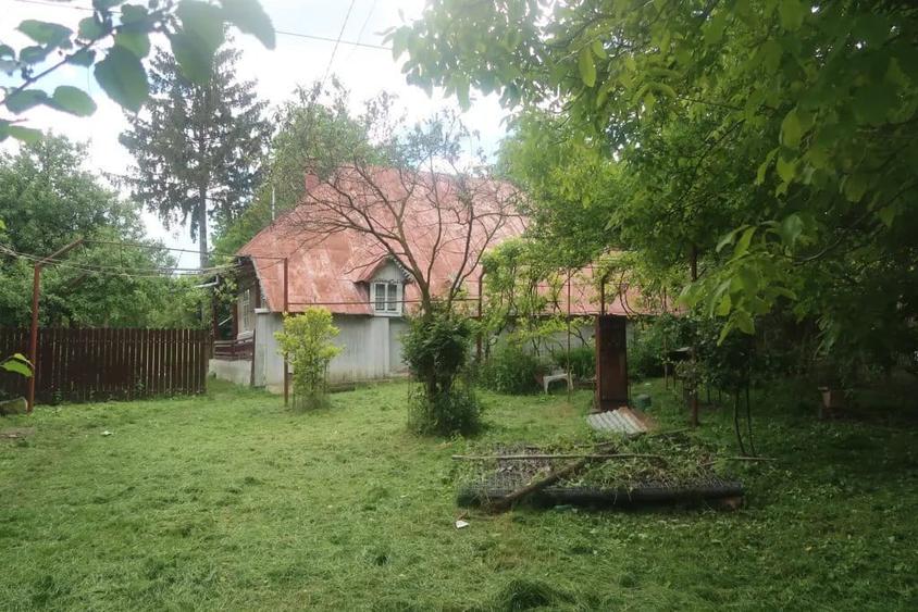 Casă cu 5 camere în Valea Arinilor