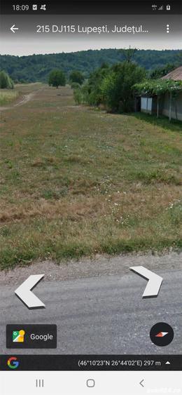 Teren de 10000 mp, în Lupești