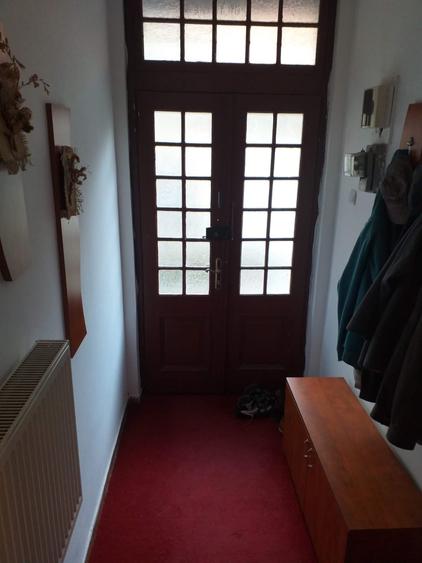 Pache Protopopescu: Apartament 2 camere parter de vilă cu grădină/curte - 10